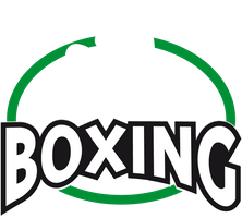 Rotterdam Boxing